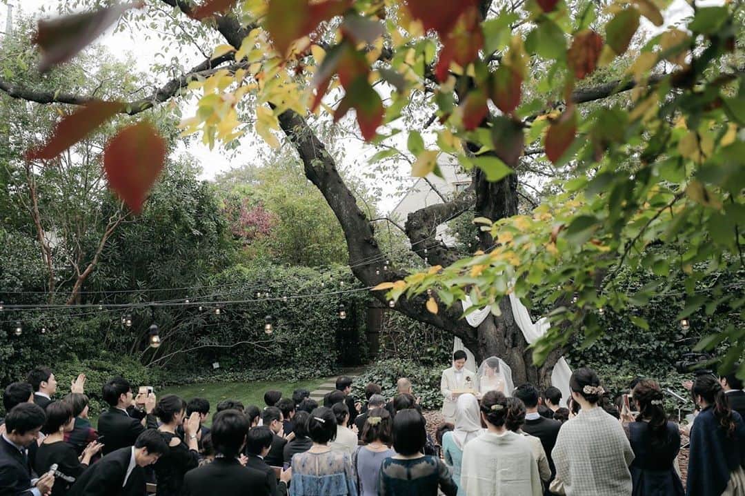 ラクラリエールのグルメインスタ