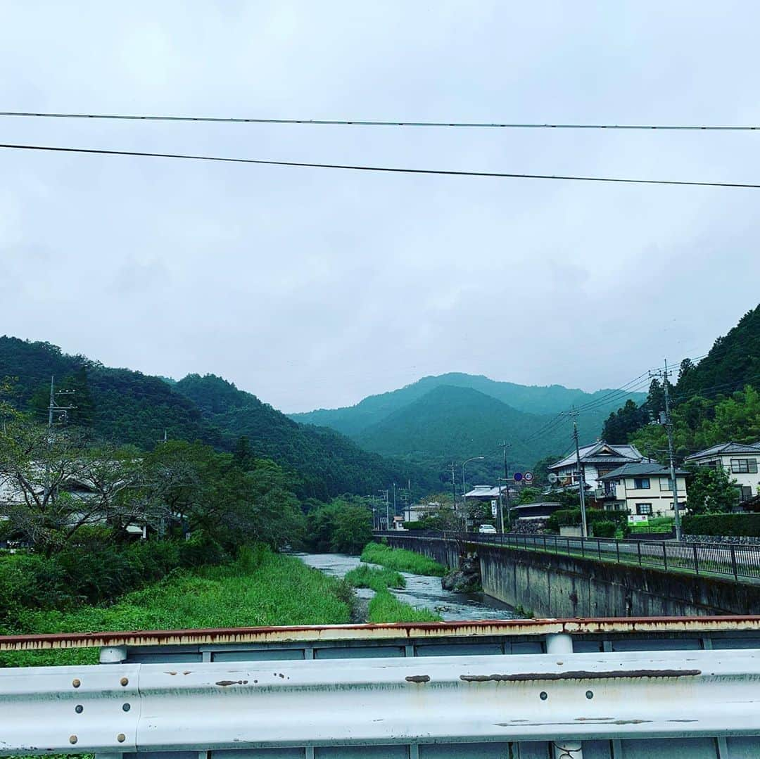 一三さんのインスタグラム写真 - (一三Instagram)「森林浴を満喫中。  杉だらけだから重度の花粉症の僕には，春先だと生き地獄のような場所だけど…  #森林浴 #風光明媚 #花鳥風月 #心あらわれる #景色 #風景 #杉 #花粉症 #小川 #せせらぎ #栗 #橋 #自然 #ネイチャー #nature #撮影 #shooting #映画 #cinema #ロケーションフォト #ロケ #location #locationlocationlocation」9月18日 14時52分 - ichizou.co.jp