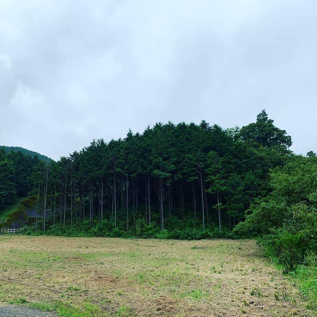 一三さんのインスタグラム写真 - (一三Instagram)「森林浴を満喫中。  杉だらけだから重度の花粉症の僕には，春先だと生き地獄のような場所だけど…  #森林浴 #風光明媚 #花鳥風月 #心あらわれる #景色 #風景 #杉 #花粉症 #小川 #せせらぎ #栗 #橋 #自然 #ネイチャー #nature #撮影 #shooting #映画 #cinema #ロケーションフォト #ロケ #location #locationlocationlocation」9月18日 14時52分 - ichizou.co.jp