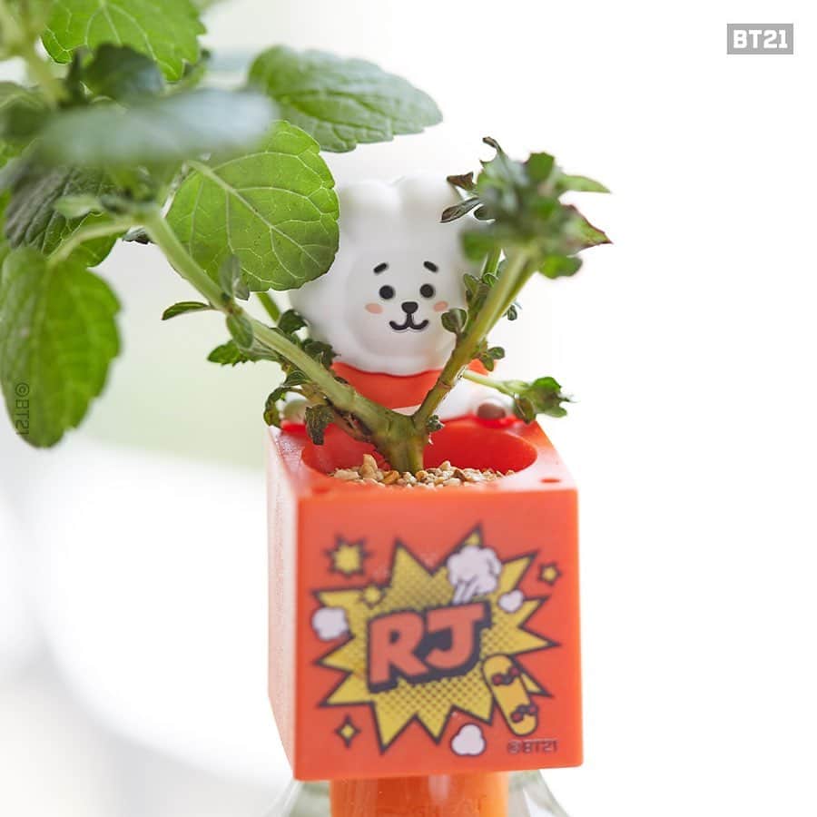 BT21 Stars of tomorrow, UNIVERSTAR!さんのインスタグラム写真 - (BT21 Stars of tomorrow, UNIVERSTAR!Instagram)「Shower your pet plant with love. ❤️ ⠀ #BT21 #GreenToy ⠀ ✔️Attach-anywhere figurines ✔️Mini-sized kit ✔️Random seeds ✔️Easy-to-follow instructions ✔️Filter, sand, fertilizers included ⠀ The BT21 Green Toy kit– Grow 'em and love 'em! 💐 ⠀ [Korea] 2020.09.24. 11AM (KST) 👉Link in bio ⠀ [Global] 2020.10.04. 6PM (PDT) at LINE FRIENDS COLLECTION ⠀ #GreenToy #HomeGardening #Planterior #HousePlants #PetPlant #Strawberry #Peppermit #LemonBalm #Cosmos」9月18日 15時00分 - bt21_official