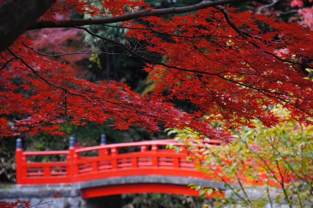 TOBU RAILWAY（東武鉄道）のインスタグラム