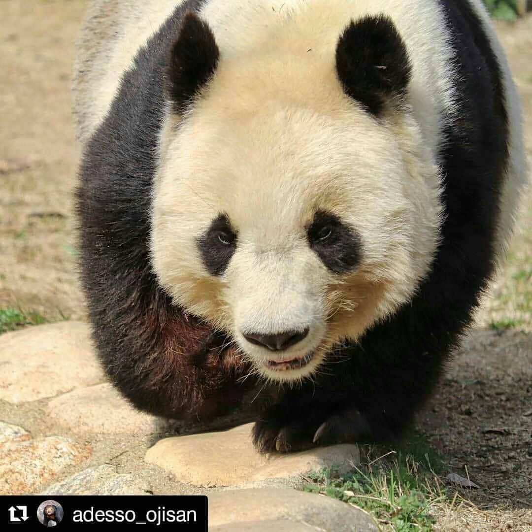 兵庫県のインスタグラム