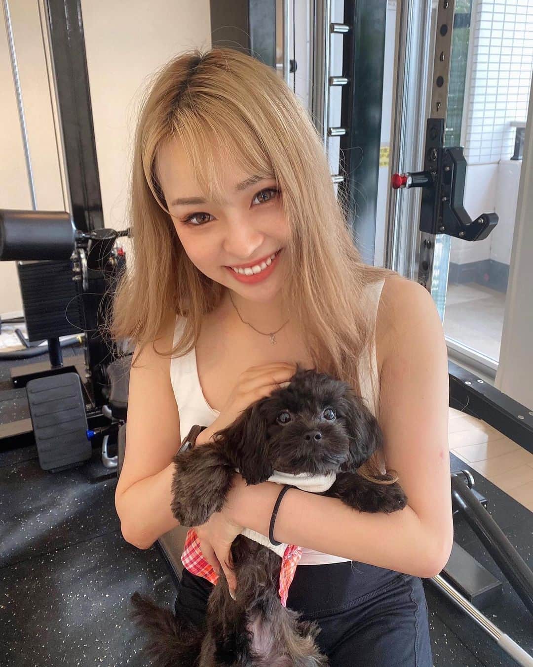 のインスタグラム：「ROSE GYM看板犬のくるみ🐶💓 . . 最近筋トレさぼりすぎてて むちむちして来たので またダイエットを楽しみたいと思います🥳🥳 . . それから、 今日、明日、明後日 21時〜17ライブ配信するから来てねん💜 . .」