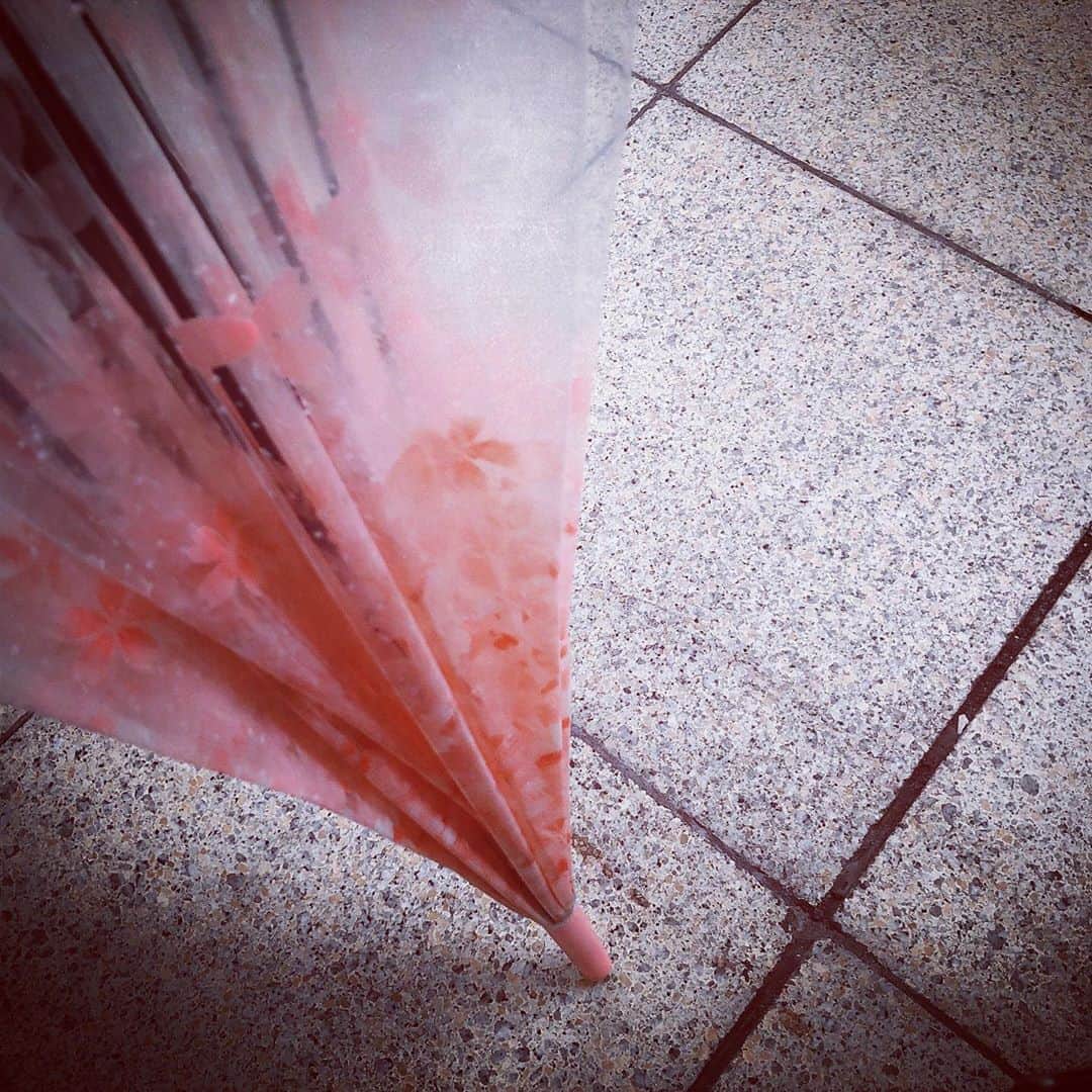 脇田唯さんのインスタグラム写真 - (脇田唯Instagram)「☂ 雨だ って思って ここ数日、 傘を持って外に出るのですが  毎回建物から出ると 雨は降っておらず 私の傘は ただ携えられてるだけで 一度も活躍しないまま 濡れもせずにいます。  どゆこと！！」9月18日 15時59分 - post_yui