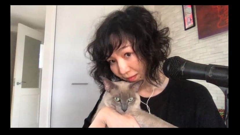 川村由紀のインスタグラム：「#autumnleaves をテーマに1時間選曲しました🍁毎週金曜20時〜21時O.A中 #blockfm #shibuyaoiran warmup radio by #カワムラユキ アーカイヴでも聴いてね〜🍁  #チルアウト #バレアリック #紅葉 #スコティッシュフォールド #サーカス君」