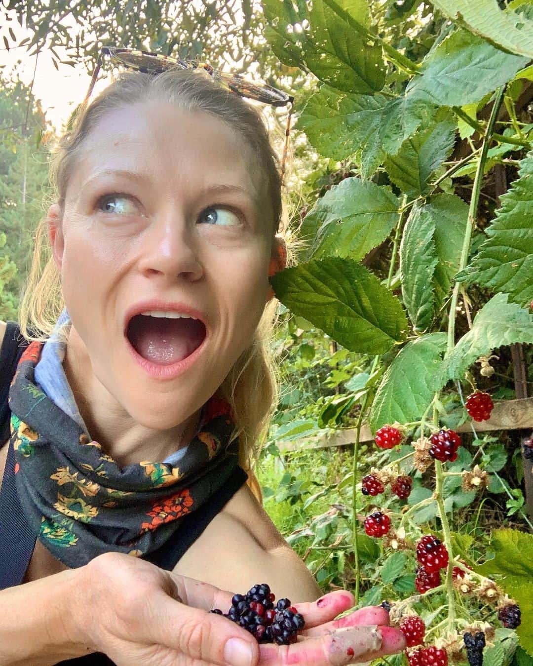 エミリー・デ・レイヴィンさんのインスタグラム写真 - (エミリー・デ・レイヴィンInstagram)「Vera & I found (& ate!) some yummy scrummy wild blackberries at our current RV Park today! I picked a few and they were so pretty I wanted to take a pic to show you guys when a little girl (who I may know) came & starting thieving my berries! 🤪😉🥰  Check out my IGTV to follow our road trip adventures in “Making It Up As I Go” episode ONE up now! And NEW  episode drops every Tuesday!   #makingitupasigoshow #blackberries」9月18日 16時15分 - emiliede_ravin
