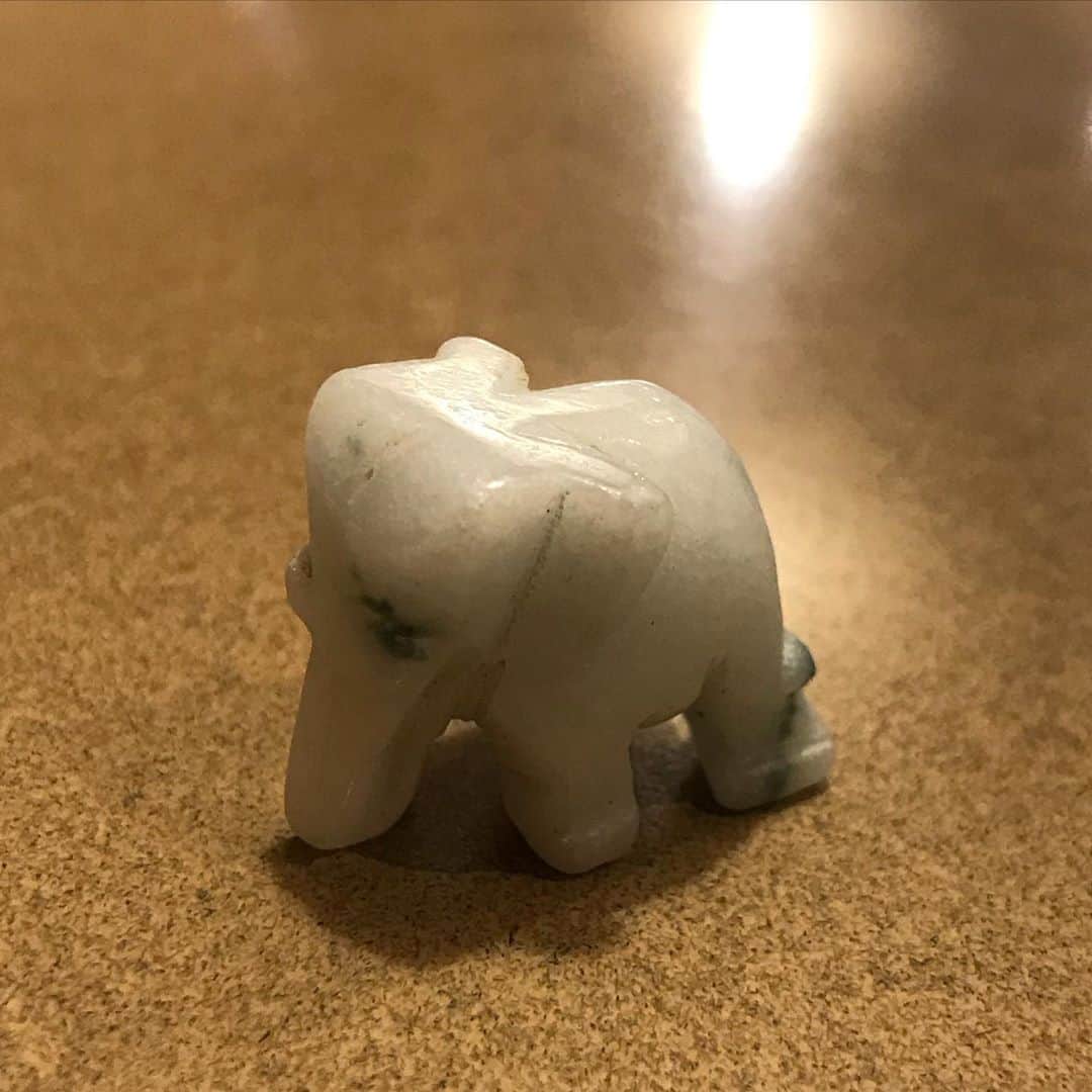 桂のインスタグラム：「象　Elephant  #elephant #ornament #jadeite #jade #itoigawajadeite #objet #象 #翡翠 #糸魚川翡翠 #象の像 #ナウマンゾウは小型の象で」