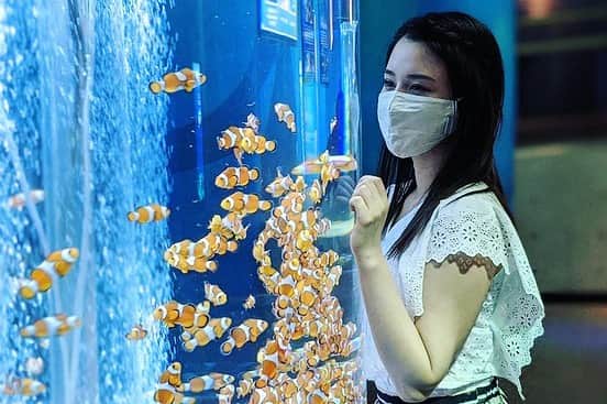 ソフトバンク(SoftBank) さんのインスタグラム写真 - (ソフトバンク(SoftBank) Instagram)「#わたしを癒やしにつれてって #Pixel4a #スマホ #カメラ #千葉 #鴨川シーワールド #鴨川 #水族館 #アクアリウム #熱帯魚 #クマノミ #シャチ #シロイルカ #japan #chiba #kamogawa #aquarium #killerwhale #tropicalfish #clownfish #belugawhale」9月18日 17時00分 - softbank_official
