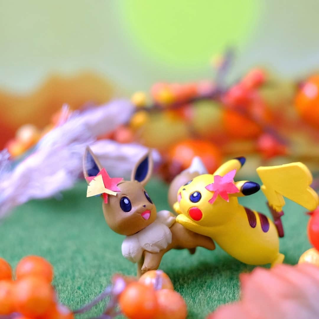 ピカチュウ公式Instagramさんのインスタグラム写真 - (ピカチュウ公式InstagramInstagram)「【今日のピカチュウ】 イーブイと追いかけっこしているみたい🌈 なんだかとっても楽しそう🥰🥰 #pikachu #eevee #pokemon #pikachu_snap #photooftheday #fun #fall #autumn #ピカチュウ #イーブイ #ポケモン #おいかけっこ #秋」9月18日 18時00分 - pokemon_jpn