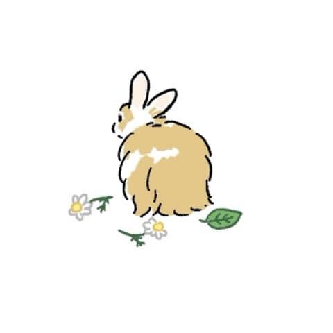 森山標子(しなこ)/Schinakoのインスタグラム：「Chamomile flower and fluffy bunny🌼 * #illustration#art#drawing#design#acrylicpaint#アクリル絵の具#rabbit#bunny#うさぎ」