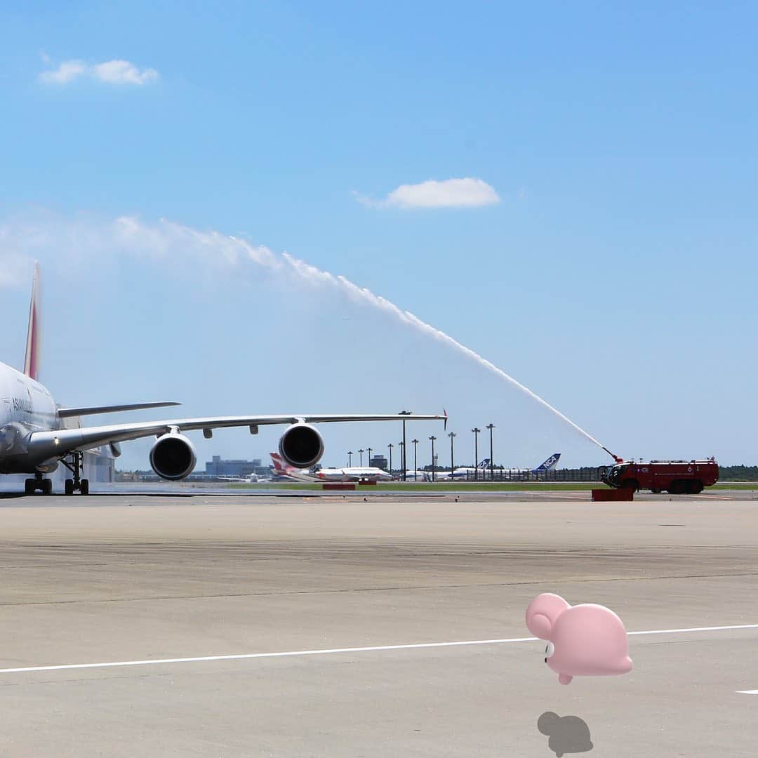 アシアナ航空日本地域公式アカウントさんのインスタグラム写真 - (アシアナ航空日本地域公式アカウントInstagram)「.﻿ 【 #アシアナ飛行機紹介 】 ﻿ ✈︎ Back to 2014.06.13 ✈ ﻿ ✈︎ A380-800 その② ✈ ﻿  ﻿ 前回ご紹介した２階建て旅客機エアバスA380の続き✈︎ ﻿  ﻿ A380が６年前の2014年6月にアシアナ航空として初めて導入し、初めて定期便として運航を開始した路線が成田空港でした👍 ﻿ ﻿ その日は、梅雨にも関わらず快晴！！﻿ @narita.airport_official 様のご協力のもと、ウォーターキャノンでお祝いして頂きました♪﻿ 壮大なお迎えは、そう滅多にあることではないですよね。今でも良い思い出です。﻿ ﻿ 素敵な初運航日となりました。#良き思ひ出﻿ ﻿ #アシアナ航空#アシアナ#海外旅行#アシアナで行く#アシアナグラム#アシアナ旅行計画#エアバス#airbus#a380#成田空港#naritainternationalairport」9月18日 18時28分 - asiana.jp_official