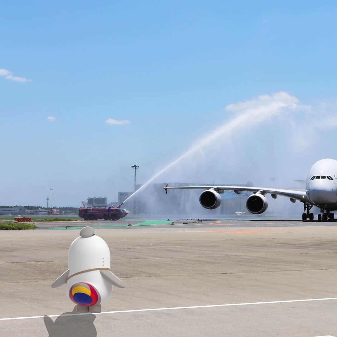 アシアナ航空日本地域公式アカウントさんのインスタグラム写真 - (アシアナ航空日本地域公式アカウントInstagram)「.﻿ 【 #アシアナ飛行機紹介 】 ﻿ ✈︎ Back to 2014.06.13 ✈ ﻿ ✈︎ A380-800 その② ✈ ﻿  ﻿ 前回ご紹介した２階建て旅客機エアバスA380の続き✈︎ ﻿  ﻿ A380が６年前の2014年6月にアシアナ航空として初めて導入し、初めて定期便として運航を開始した路線が成田空港でした👍 ﻿ ﻿ その日は、梅雨にも関わらず快晴！！﻿ @narita.airport_official 様のご協力のもと、ウォーターキャノンでお祝いして頂きました♪﻿ 壮大なお迎えは、そう滅多にあることではないですよね。今でも良い思い出です。﻿ ﻿ 素敵な初運航日となりました。#良き思ひ出﻿ ﻿ #アシアナ航空#アシアナ#海外旅行#アシアナで行く#アシアナグラム#アシアナ旅行計画#エアバス#airbus#a380#成田空港#naritainternationalairport」9月18日 18時28分 - asiana.jp_official