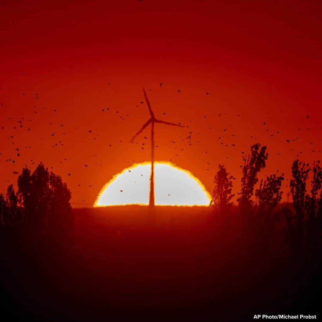 ABC Newsさんのインスタグラム写真 - (ABC NewsInstagram)「Hundreds of birds fly past wind turbines as the sun rises in Frankfurt, Germany. #birds #windturbines」9月18日 18時44分 - abcnews