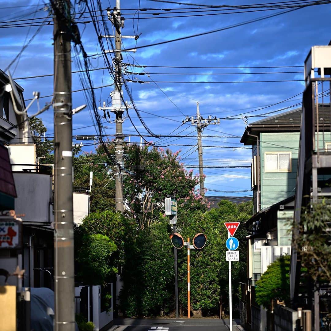 佐藤東弥のインスタグラム：「夕方、東の空 不思議な空の色」