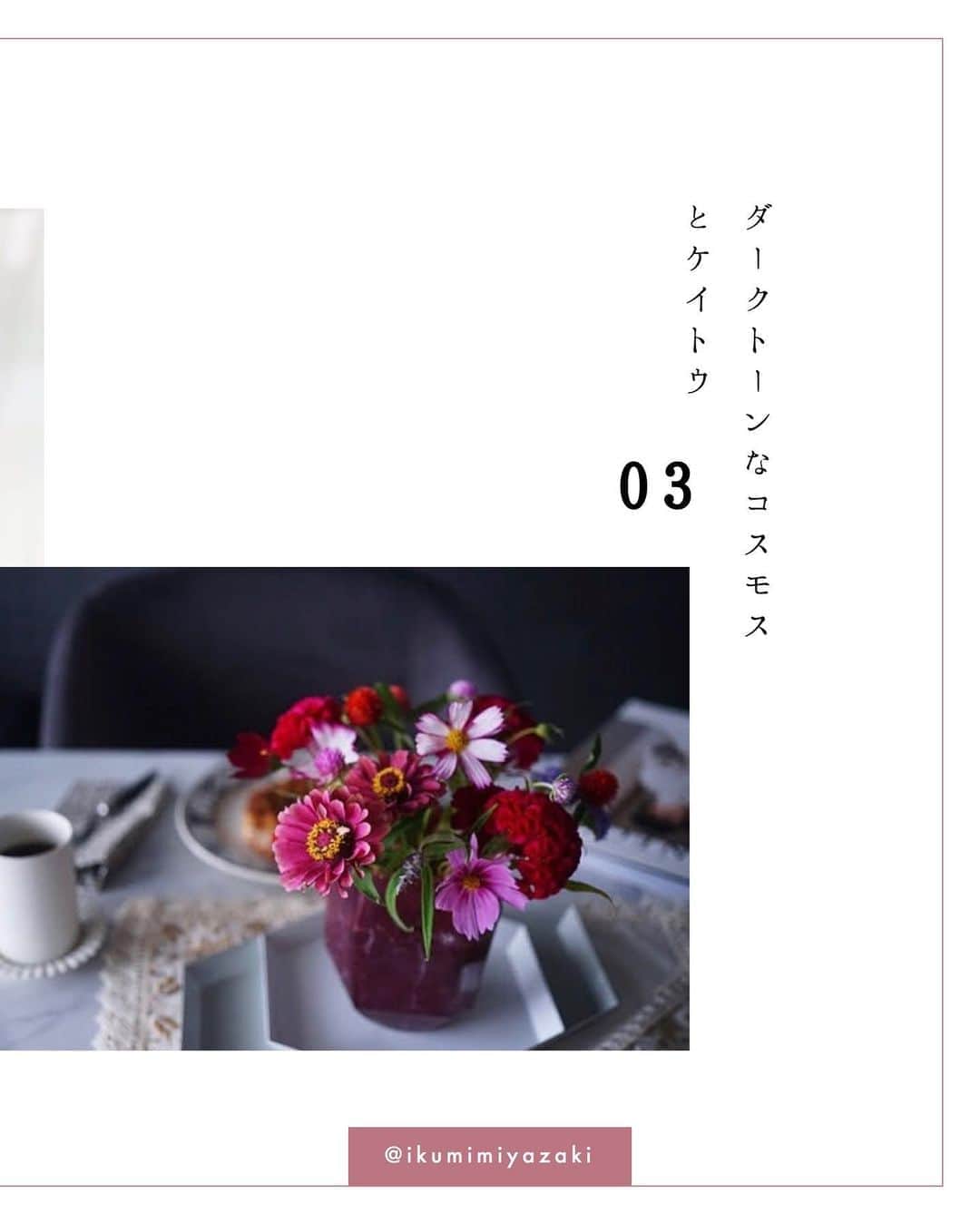 NEXTWEEKENDさんのインスタグラム写真 - (NEXTWEEKENDInstagram)「【みんなの #小まめアウトプット】﻿ 9月のテーマは「心にしまわないうちに #小まめアウトプット」。﻿ 今日は秋の花を素敵に飾った3名をピックアップ！﻿ ﻿ なんとも言えない絶妙な深い色が魅力の秋の花。﻿ WEBサイトの最新記事でも「指名買いしたい秋の花」というテーマで、Weekender編集部のメンバーから、それぞれが指名買いした秋の花をまとめています。﻿ ﻿ 気になるお花に出会ったら、次回お花屋さんに行った際に探してみていただけたら嬉しいです🕊」9月18日 19時12分 - nextweekend_jp