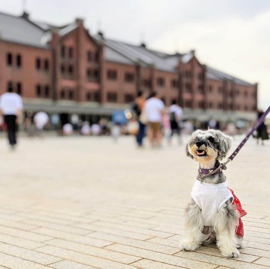 横浜赤レンガ倉庫のインスタグラム