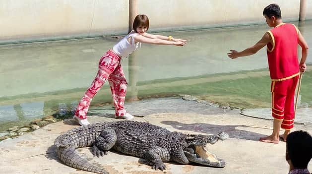 高松雪乃さんのインスタグラム写真 - (高松雪乃Instagram)「クロコダイルファームのショーのワニちゃん。サイズ伝わるかな？✴︎ YouTubeの方に動画も近々載せます🐊  #クロコダイルファーム　#ワニ　#鰐　#爬虫類　#爬虫類女子　#タイ　#crocodile #crocodilefarm #thailand」9月18日 20時04分 - yukinotakamatsu