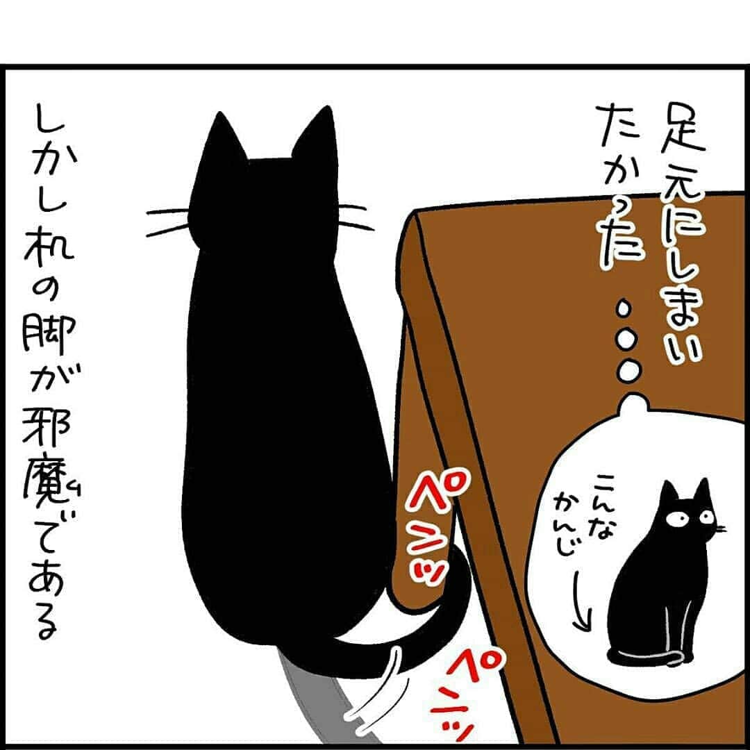 猫壱（ねこいち•ネコイチ）さんのインスタグラム写真 - (猫壱（ねこいち•ネコイチ）Instagram)「【#猫マンガ 】 ▫ できにゃい。。。 ▫ ▫ #頑張ったけど  #諦めちゃう瞬間😁  ▫ ▫ :::::::::#猫壱 ::::::: 猫壱は猫と人との暮らしの向上を目指して猫グッズの開発に取り組んでいます♪ ▫ 気になる方は @necoichicojp をチェックしてみてくださいね！ ▫ ▫ 【Special thank-you @86palpal 💕💕💕💕】」9月18日 20時16分 - necoichicojp