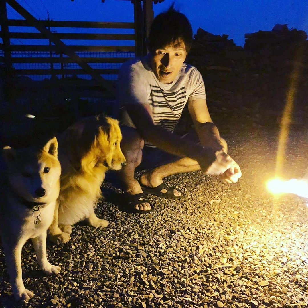 篠原信一さんのインスタグラム写真 - (篠原信一Instagram)「前にした花火🎆  #柴犬 #しばいぬ #ゴールデンレトリバー #小鉄とニコの大冒険  #shibainu #goldenretriever #いぬすたぐらむ #いぬのいる暮らし #犬との暮らし #花火 #手持ち花火」9月18日 20時29分 - kotetu__niko