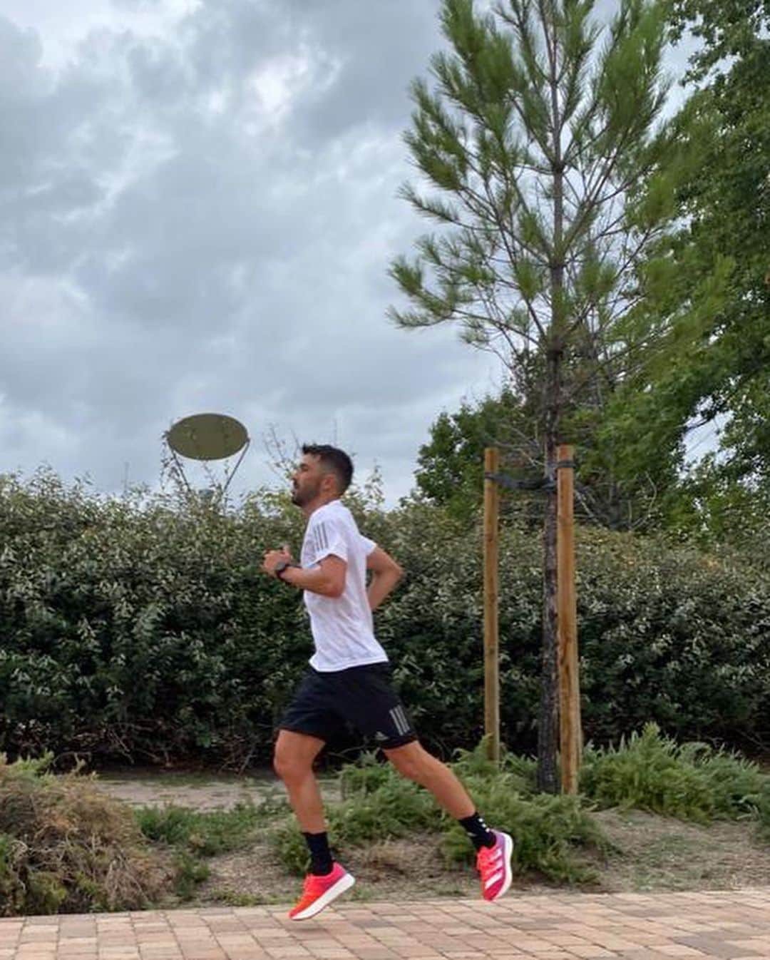 ダビド・ビジャさんのインスタグラム写真 - (ダビド・ビジャInstagram)「9K probando esta maravilla de zapatillas de @adidas_es  que son muy 🔝!!! 🏃🏻‍♂️😍💪🏻 @adidasrunning #creadoconadidas #adizeroadiospro」9月18日 20時31分 - davidvilla