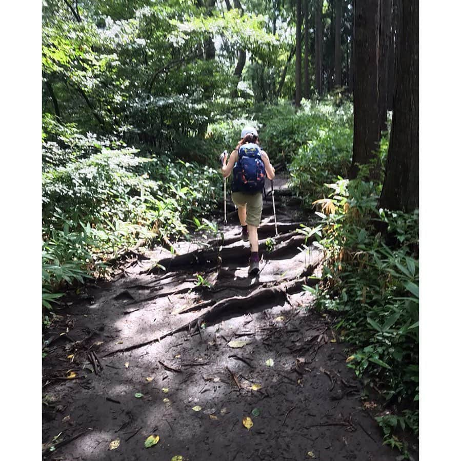 唐橋ユミさんのインスタグラム写真 - (唐橋ユミInstagram)「縦走した🏔陣馬山〜南郷山〜富士小屋山〜堂所山〜景信山〜城山〜高尾山 　#登山 　#初心者 　#8時間　 　#本気できつかった 　#気持ち良い疲れ   #筋肉痛   #歩き方おかしいぞ   #高尾駅員さんに感謝 　#話したいこと山ほど   #今夏のチャレンジ」9月18日 20時54分 - yumikarahashi