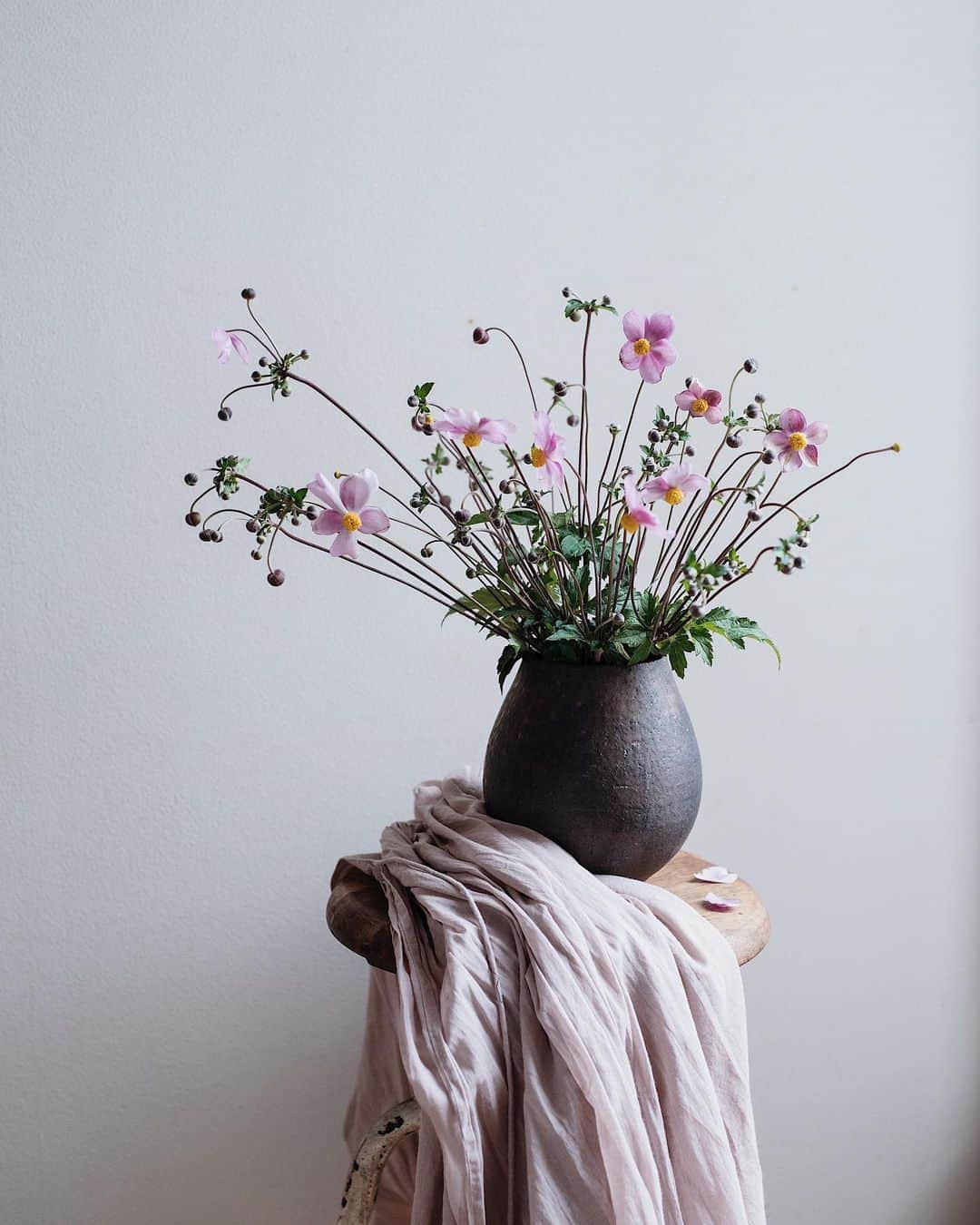 増田由希子さんのインスタグラム写真 - (増田由希子Instagram)「Japanese anemones🌸One of my favorite fall flowers. #anemone #Japaneseanemone #fall #autumn 秋明菊は秋を告げる花。我が家の庭でももうすぐ咲きそうです。 #秋明菊  写真は、 @fare_to_qe  9月号定期便新聞より。表紙撮影とスタイリングを担当させていただきました。」9月18日 21時08分 - nonihana_