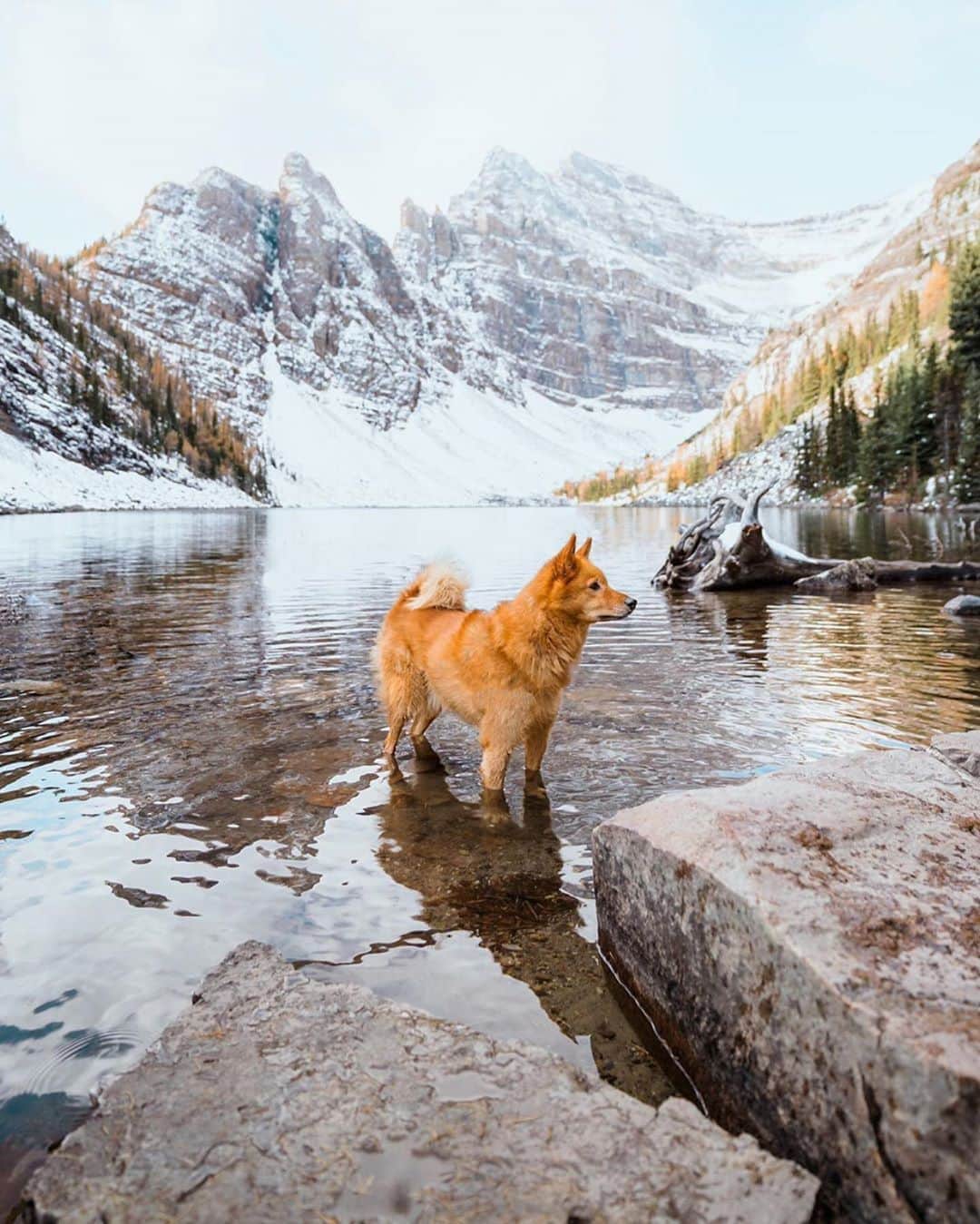 FOLKのインスタグラム：「A few images by @jayrmcdonald. He is in our Americana issue! I’ve been smitten with his work since I first started following him a few years ago. Learning more about the truly fascinating guy behind the camera was a real honor.」