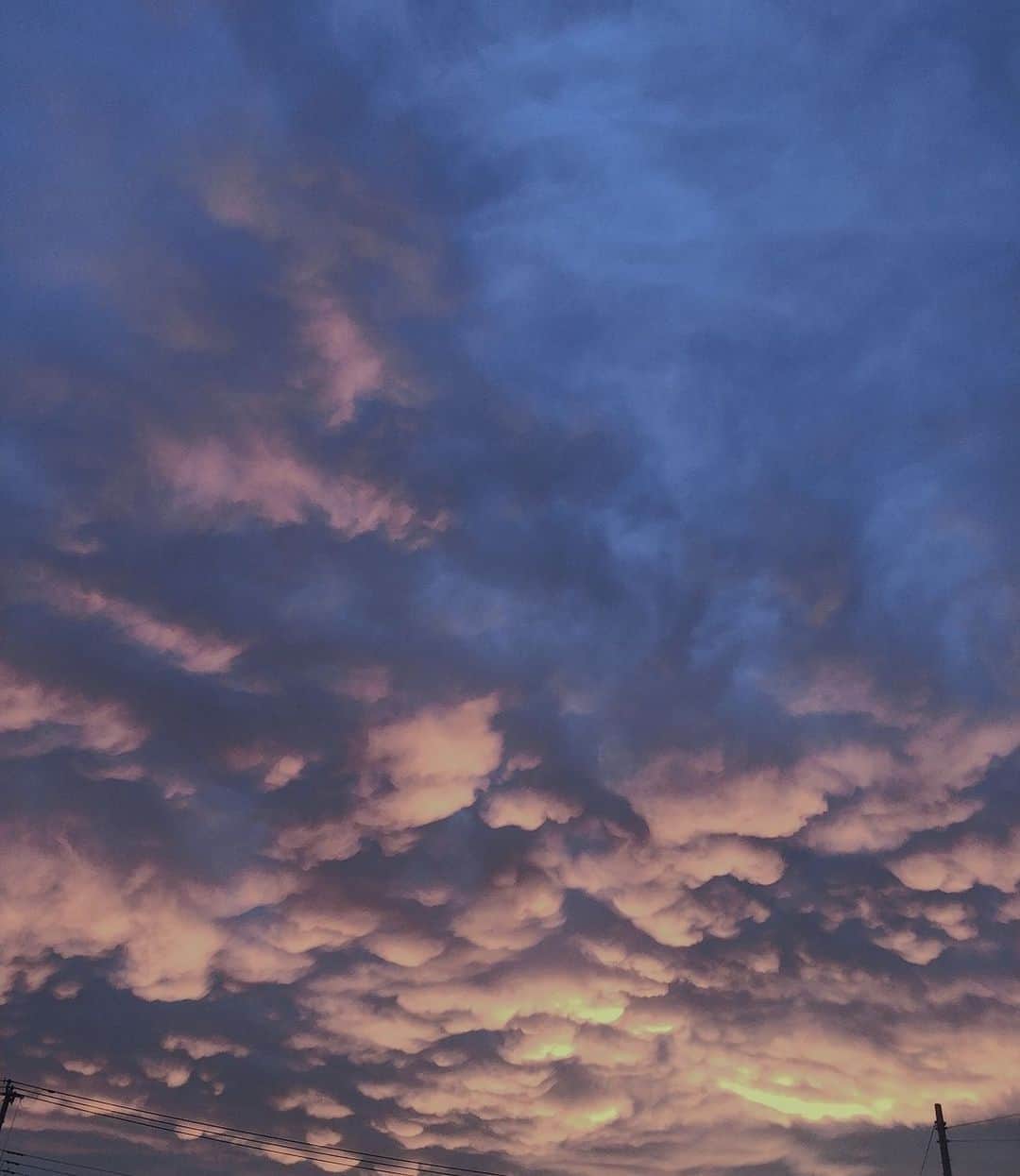 中野みやびのインスタグラム：「雲  #sky #雲 #空 #青 #blue #white #自然 #芸術 #夕方 #夕暮れ #綺麗 #幻想的 #神秘的 #絵 #campus #wawawa #みやび」
