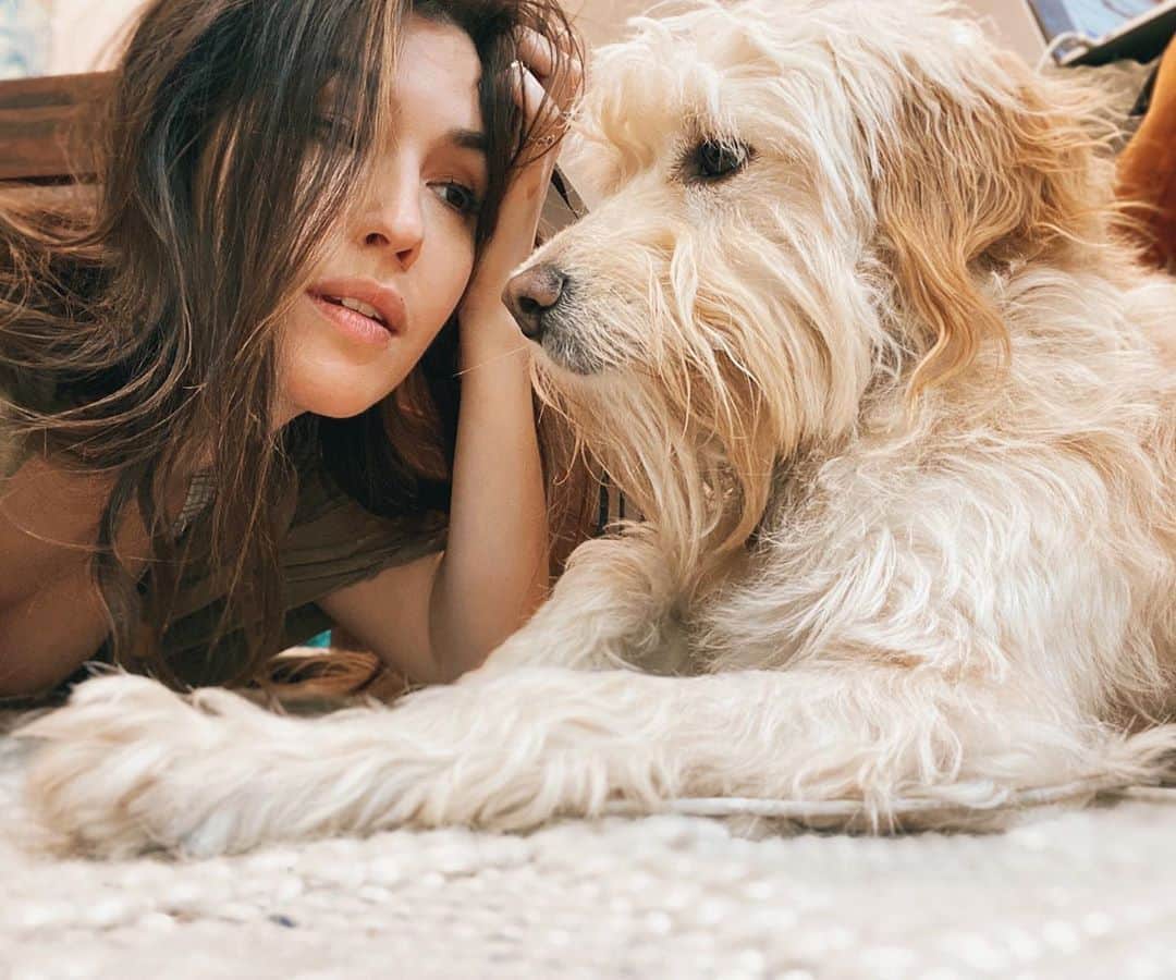 ケイト・ボイージェルのインスタグラム：「plotting our weekend plans to do pretty much exclusively this 🐾😴 happy Friday! I know I haven’t posted in a minute but I’ve been working on something super fun for next week that I can’t wait to share! 🎉🎶」
