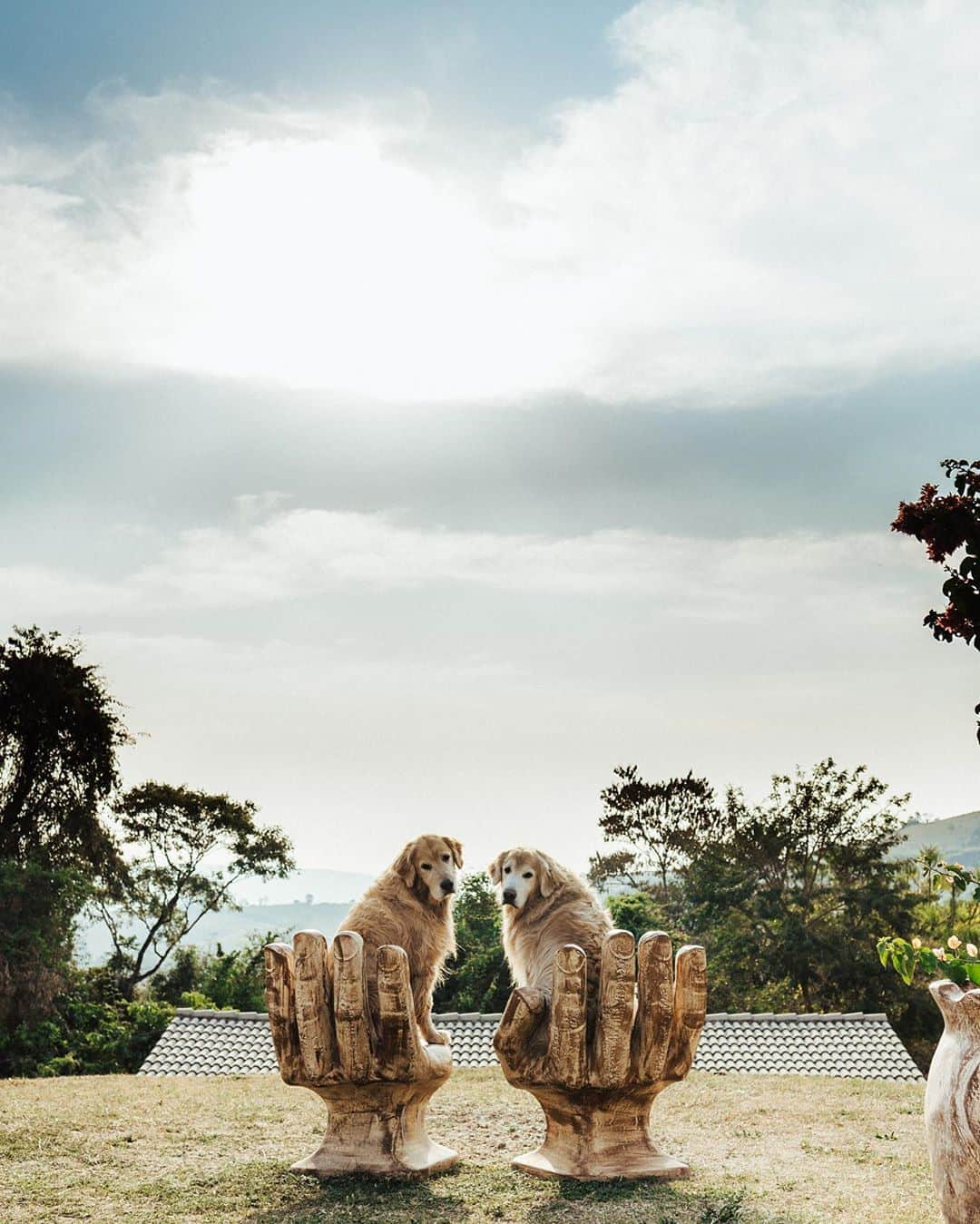 Bobさんのインスタグラム写真 - (BobInstagram)「Da segunda expedição  @olapet.friendly em Socorro  📷 @thiagoscaquettifotografo  . . #socorro #turismo #hotelaria #turismosocorrosp #petfriendly #roteiropetfriendly #dicasdeviagem #saopaulo #pousada #goldenretriever #dogs #dogsofinstagram #pets #petsofinstagram #petlovers #photography #photooftheday #vejasp #expediçõesolapet #hyundaipets」9月19日 7時33分 - bob_marley_goldenretriever