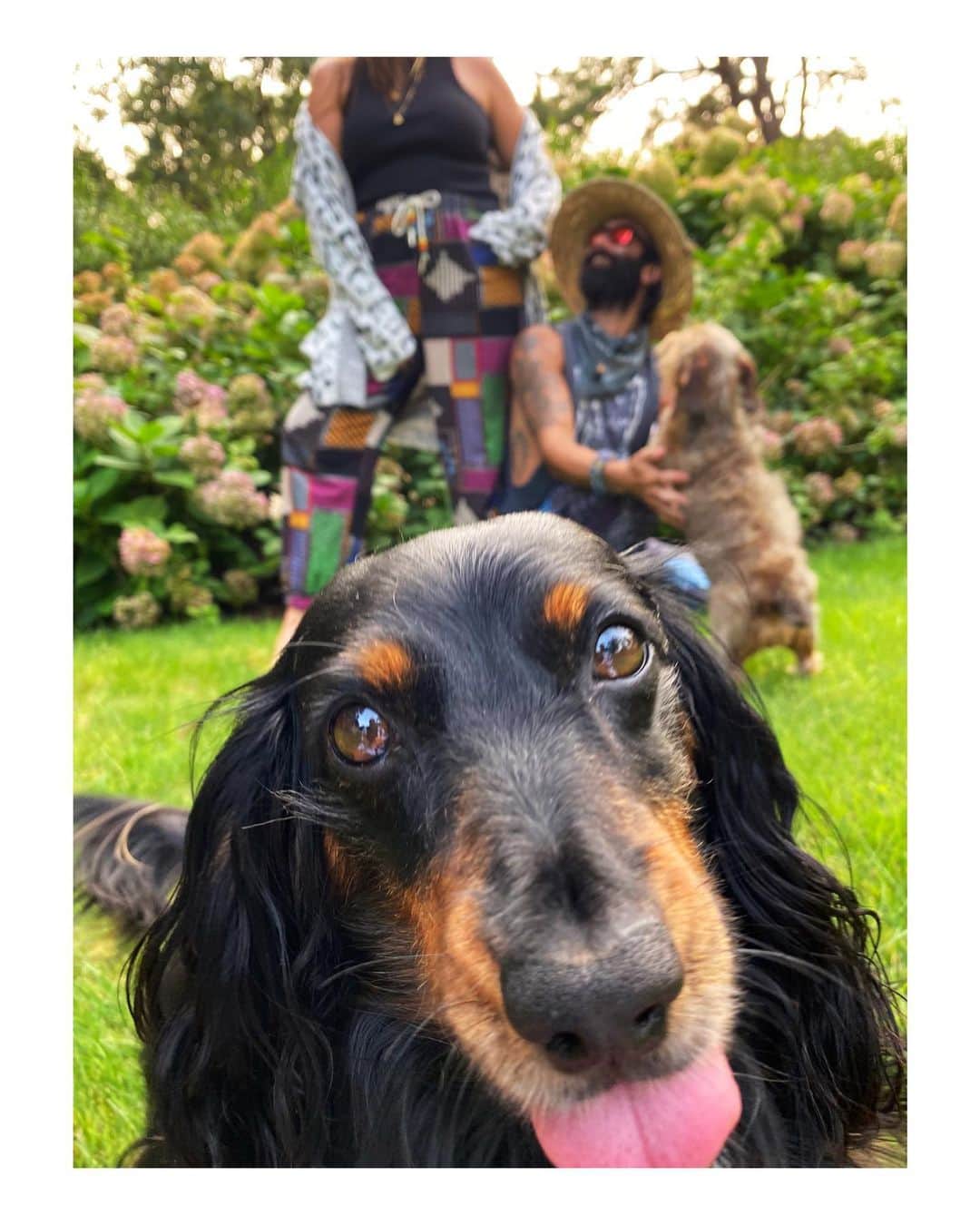 キャンディス・ハフィーンのインスタグラム：「“Ridiculously accurate”. -Matt Powers 😂」