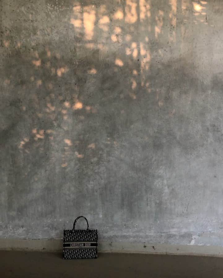 のインスタグラム：「Reklame/tag.. Dream bag by @Dior 🤍」