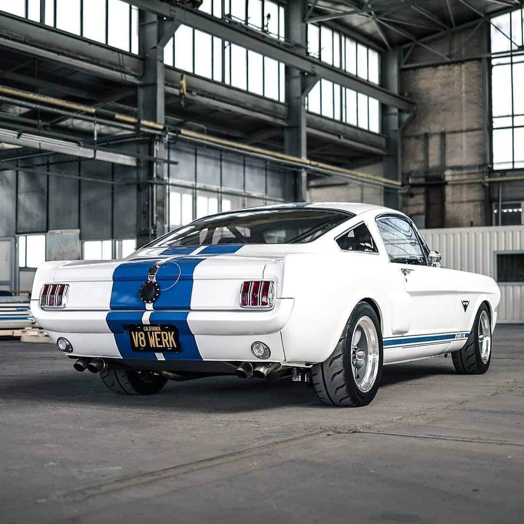 Classics Dailyさんのインスタグラム写真 - (Classics DailyInstagram)「#ClassicsFeature _____ 📷@v8_werk Clean shot of this Shelby. Love the White/Blue combo. _____ #classiccar #musclecar #hotrod #protouring #prostreet #restomod #classicsdaily #streetrod #streetcar #customcar #hotrods #streetrods #ford #mustang #shelby #gt350」9月19日 0時02分 - classicsdaily