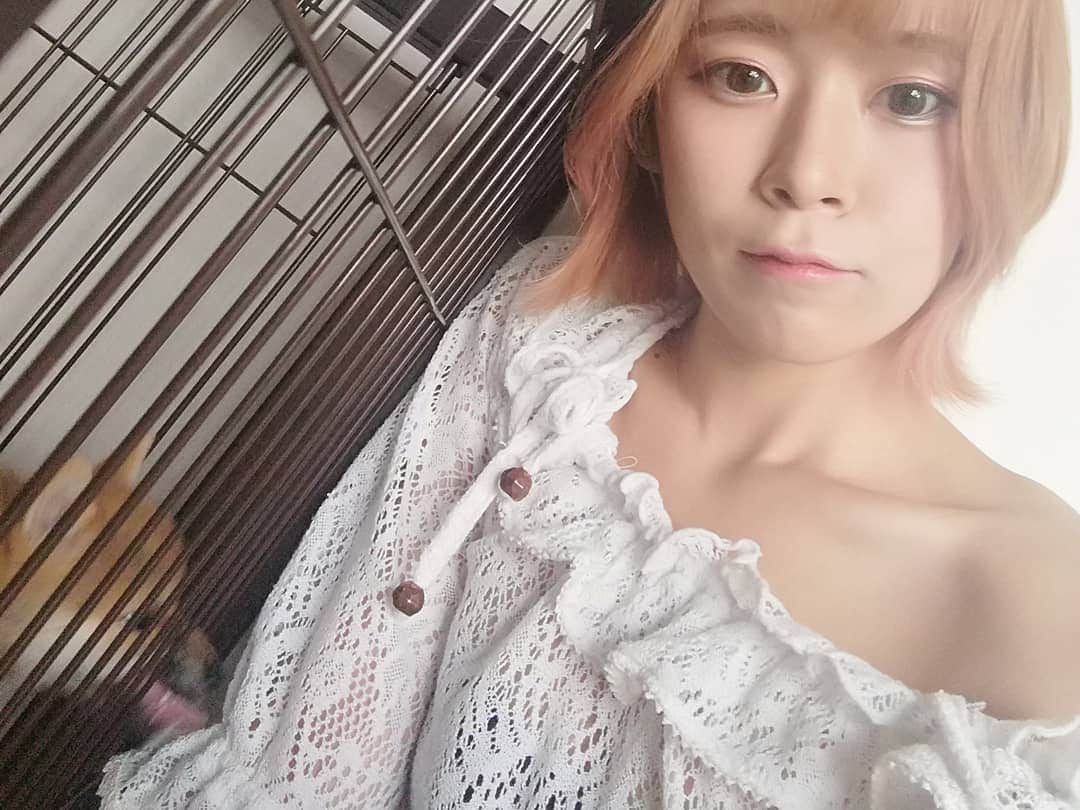 山口さくらさんのインスタグラム写真 - (山口さくらInstagram)「みなさんこんばんは🌸 ミス都立大Ｎｏ．4山口さくらです🌸🌸🌸 これは犬と一緒に写真撮ろうと思ったら噛まれまくったやつ🐶🌸  最近お酒を控えろと怒られているので明日も飲酒したいと思います🌸😊👍 青汁も一緒に飲めばプラマイゼロだからです😋🌸  明日はポケモンランクマッチ配信✨ たくさん育ててきたので何時間かけてでも高いランクに進みたいです💗 最近はまじでポケモンのことで頭がいっぱいです…なんかもうミクチャって口実で私がポケモンやりたいだけみたいなところあるんですよね🤭🌸  明日は長時間配信なので早く寝ます🌸 みなさんおやすみなさい💗🌸  最後まで読んでくださってありがとうございます🌸  今日もプロフィール欄のURLから投票お願いします🌸  #都立大 #東京都立大学 #都立大学 #ミスコン #ミスコンファイナリスト #さくら #金髪女子」9月19日 0時14分 - misstmu2020no4