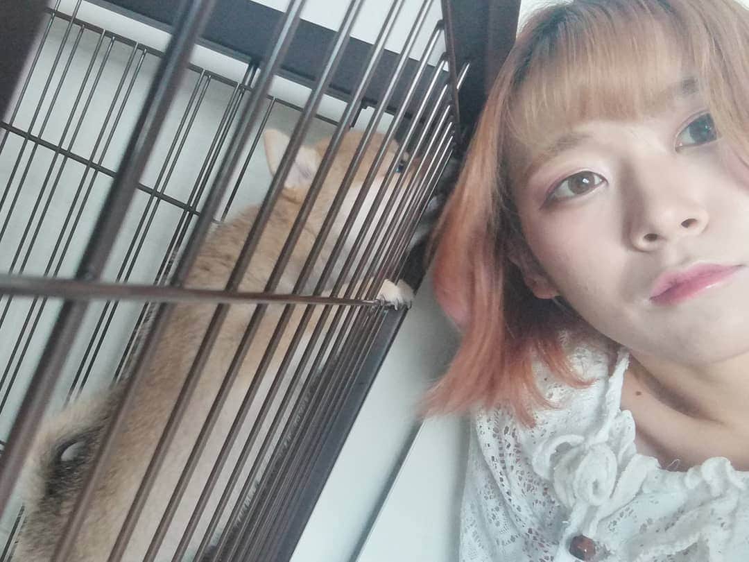 山口さくらさんのインスタグラム写真 - (山口さくらInstagram)「みなさんこんばんは🌸 ミス都立大Ｎｏ．4山口さくらです🌸🌸🌸 これは犬と一緒に写真撮ろうと思ったら噛まれまくったやつ🐶🌸  最近お酒を控えろと怒られているので明日も飲酒したいと思います🌸😊👍 青汁も一緒に飲めばプラマイゼロだからです😋🌸  明日はポケモンランクマッチ配信✨ たくさん育ててきたので何時間かけてでも高いランクに進みたいです💗 最近はまじでポケモンのことで頭がいっぱいです…なんかもうミクチャって口実で私がポケモンやりたいだけみたいなところあるんですよね🤭🌸  明日は長時間配信なので早く寝ます🌸 みなさんおやすみなさい💗🌸  最後まで読んでくださってありがとうございます🌸  今日もプロフィール欄のURLから投票お願いします🌸  #都立大 #東京都立大学 #都立大学 #ミスコン #ミスコンファイナリスト #さくら #金髪女子」9月19日 0時14分 - misstmu2020no4