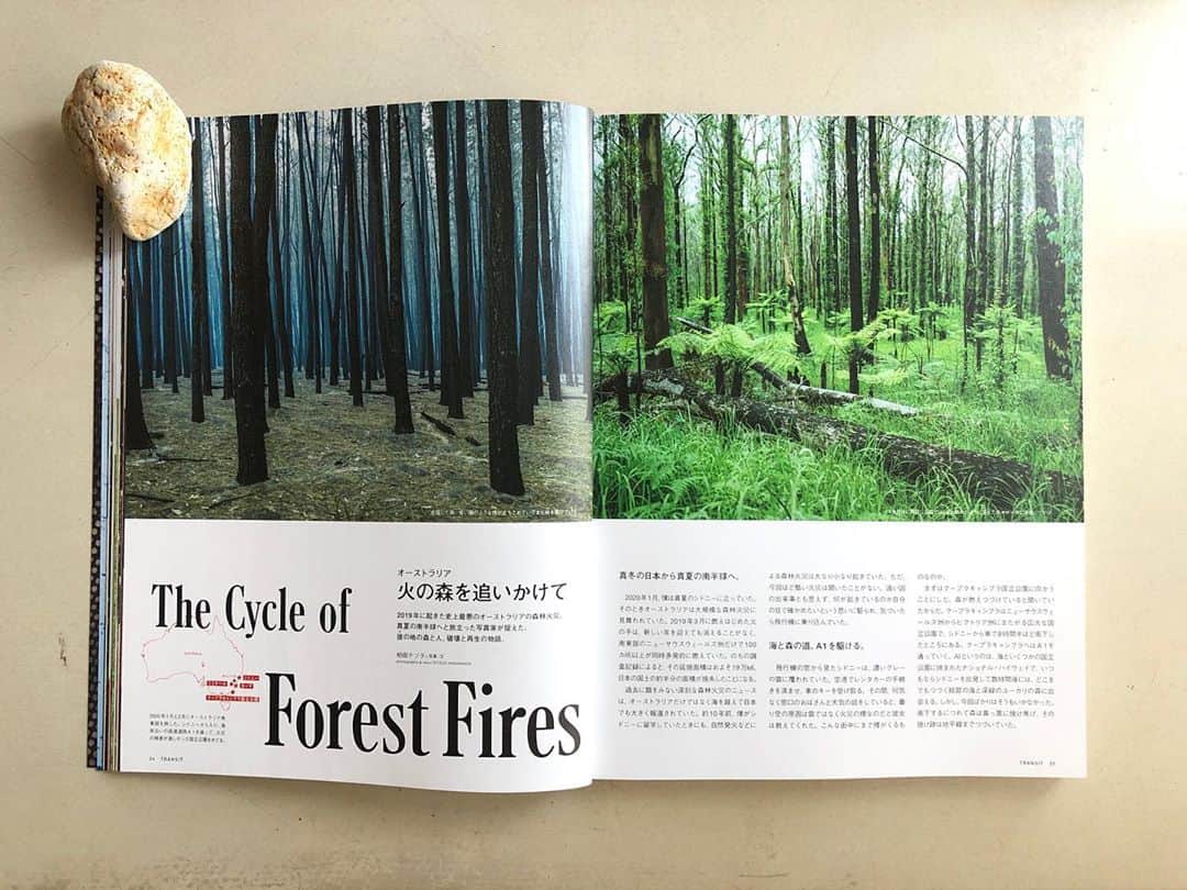 のインスタグラム：「発売中のTRANSIT @transitmagazine  地球の未来を考える 『美しく消えゆく世界の旅』 にて写真と文章を寄稿しています。 昨年から今年頭にかけてオーストラリアで起こった過去最大の森林火災。 オーストラリアに留学していたことや、豪内をあちこちコーチサーフィンしながら貧乏旅したこともあった思い出の地。ニュースを知った時にいてもたってもいられずオーストラリアに飛びました。 日本のTVなどではあまり大々的には報道はされておらず、不信にも思っていたし自分の目で確かめたいと思ったからです。 まだまだ書きたいことはありますが、是非紙面にて 今まさに夏の南半球で起こったことが季節が巡り、夏になった北半球のカリフォルニアやオレゴンでも同じ過去最大規模の火災が発生している。 今こそ地球の未来のために何が大切か、一人一人がしっかりと考え見直すべきではないだろうか。」