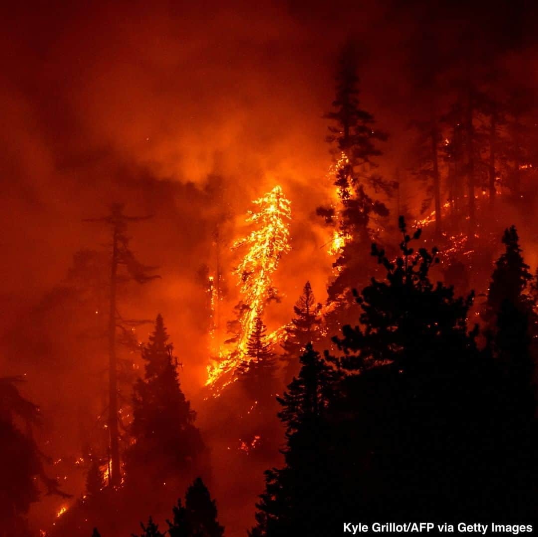 ABC Newsさんのインスタグラム写真 - (ABC NewsInstagram)「The #BobcatFire continues to burn through the Angeles National Forest, one of multiple wildfires raging across the West Coast. #wildfire #losangeles #california #firefighters #angelesnationalforest」9月19日 0時24分 - abcnews