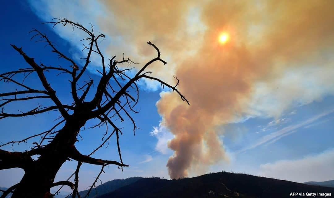 ABC Newsさんのインスタグラム写真 - (ABC NewsInstagram)「The #BobcatFire continues to burn through the Angeles National Forest, one of multiple wildfires raging across the West Coast. #wildfire #losangeles #california #firefighters #angelesnationalforest」9月19日 0時24分 - abcnews