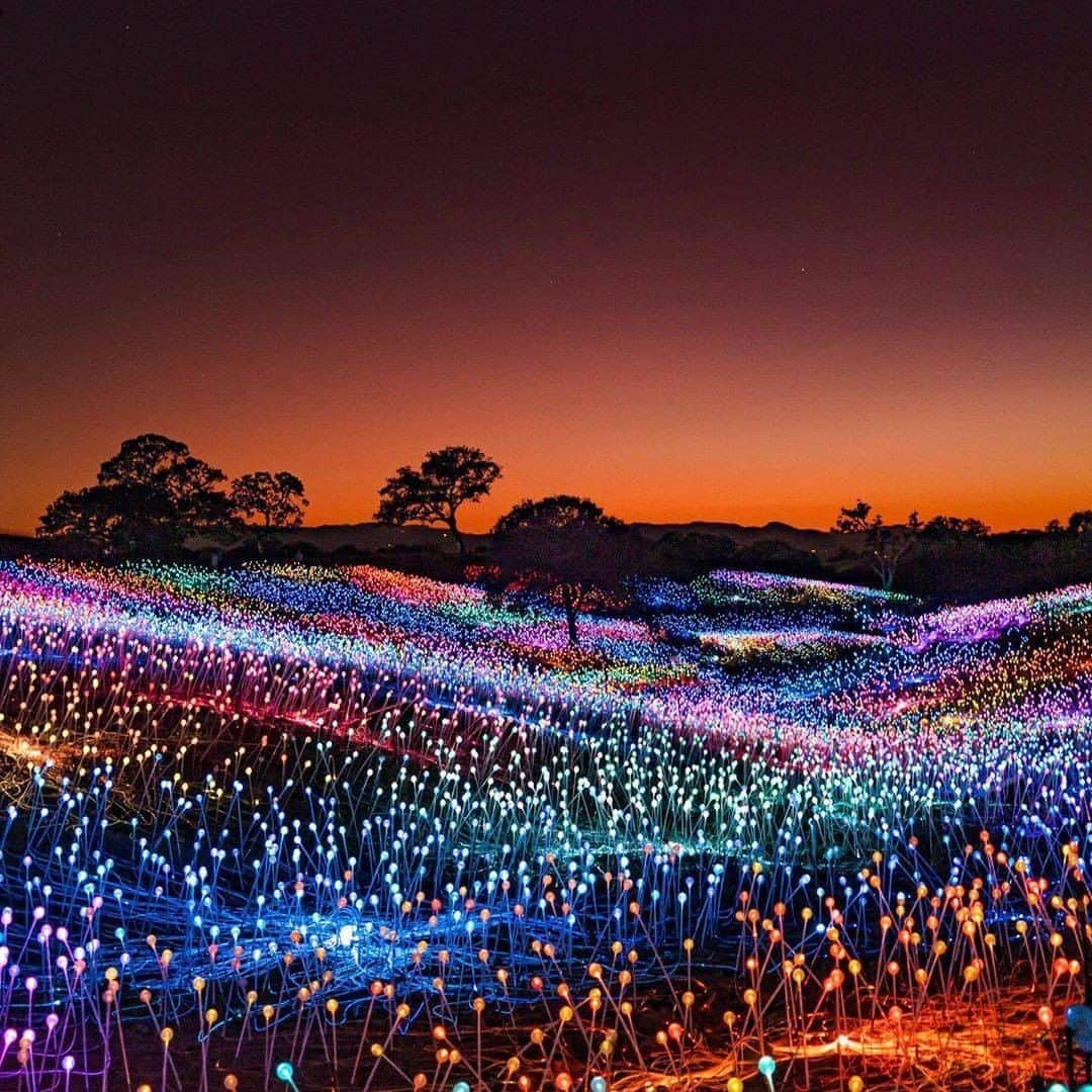 Discover Earthさんのインスタグラム写真 - (Discover EarthInstagram)「How amazing is this picture ?  "All of the lights in this photo are brought to you by the stars. The blips in the sky are planets reflecting our star’s light. The soft gradient on the horizon is our sun setting and the lights in the field are powered by solar fiber optic cables. 200,000 lights are in this field. {happy intro} You are my sunshine, my only sunshine You make me happy when skies are grey You'll never know, dear, how much I love you Please don't take my sunshine away … {The scene turns dark} One day 5 billion years from now our sunshine will be taken away as the earth gets vaporized by our sun. {Crescendo} If I'm not back again this time tomorrow Carry on, carry on As if nothing really matters {The climactic finale} At that point we will all become starlight 🙂 *APPLAUSE" 🇺🇸 #discovercalifornia with @dhavalilama   #sunshine #pasorobles  #california」9月19日 0時30分 - discoverearth