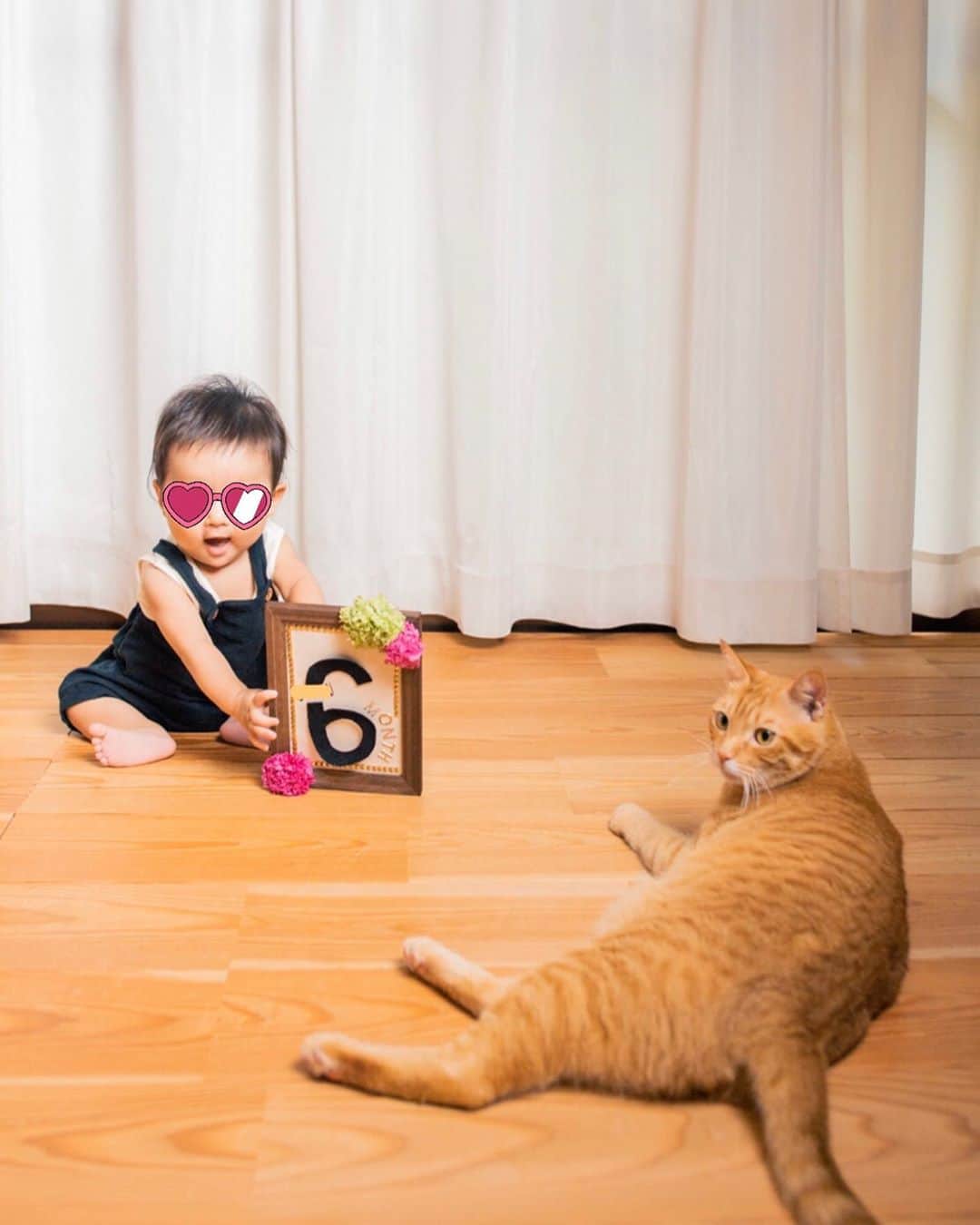 久保田夏菜さんのインスタグラム写真 - (久保田夏菜Instagram)「金が、 トラのような貫禄だしてきた！  しかも、 自分が主役と言わんばかりに。  結果、金太郎じゃなくて 金大好き！前掛けみたいになったし（笑）  #猫と赤ちゃん　#赤ちゃんと猫　#ねこすたぐらむ  #あかちゃんのいる生活 #生後6か月　#記念写真　#男の子ベビー　#茶トラ　#保護猫　#みんなのもり　#写真家　#ミノルオバラ　#木彫りのくま　#田舎暮らし」9月19日 1時14分 - kanakubota0805