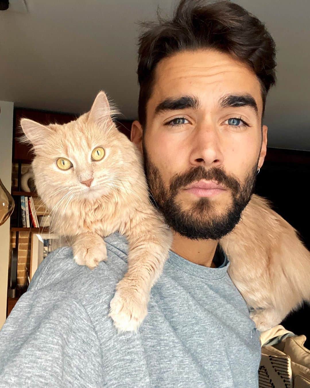 NICOLAS SIMOESのインスタグラム：「Guess who was brave at the vet? 😸」