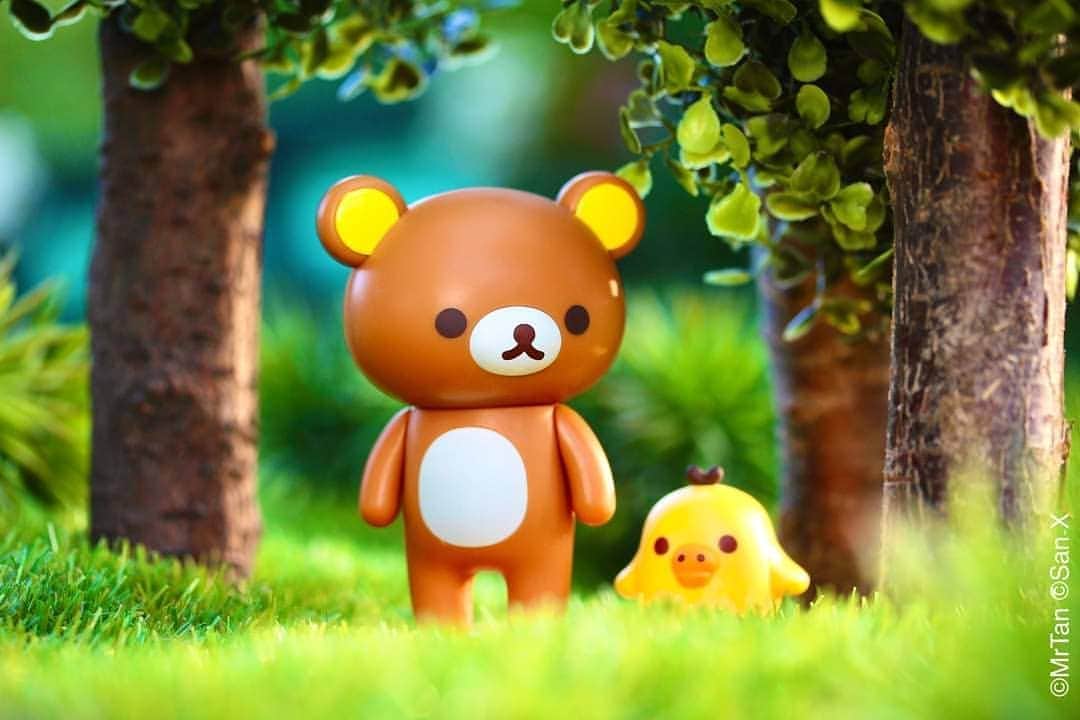 Rilakkuma US（リラックマ）さんのインスタグラム写真 - (Rilakkuma US（リラックマ）Instagram)「This photo was taken by @antoinedole, who we apologise to for not tagging beforehand! Please check out Antoine's work on his Instagram page! 🌲 Nature can be relaxing and exciting at the same time! Rilakkuma and friends love to go into the forest and have adventures! Tag a friend you'd like to go on a hike with! . . . #rilakkumaus  #rilakkuma #sanx #kawaii #リラックマ #サンエックス」9月19日 2時52分 - rilakkumaus