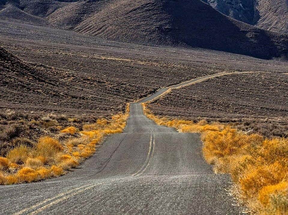 Ricoh Imagingさんのインスタグラム写真 - (Ricoh ImagingInstagram)「Posted @withregram • @frankleeruggles Even in the dead of winter, Death Valley National Park is full of life.  @deathvalleynps #instaphoto  #landscapephotography #nationalparkgeek @nationalparkservice  #utahphotographer  #utahisrad #utahgram #neverstopexploring #wanderlust  #findyourpark  @nationalparktrust @usinterior  #NPGeekAmbassador #optoutside #nationalparkgeek  @natgeo #bpmag  #outdoorphotomag #nationalparks #picoftheday #photooftheday.  #istagood #nofilter #igers #picoftheday  #instapic #photooftheday #pentax645z #pentax645ambassador @ricohpentax @ricohusa  #mediumformat #national_park_phototograpy  #79yearsproject #chasinglight」9月19日 2時52分 - ricohpentax