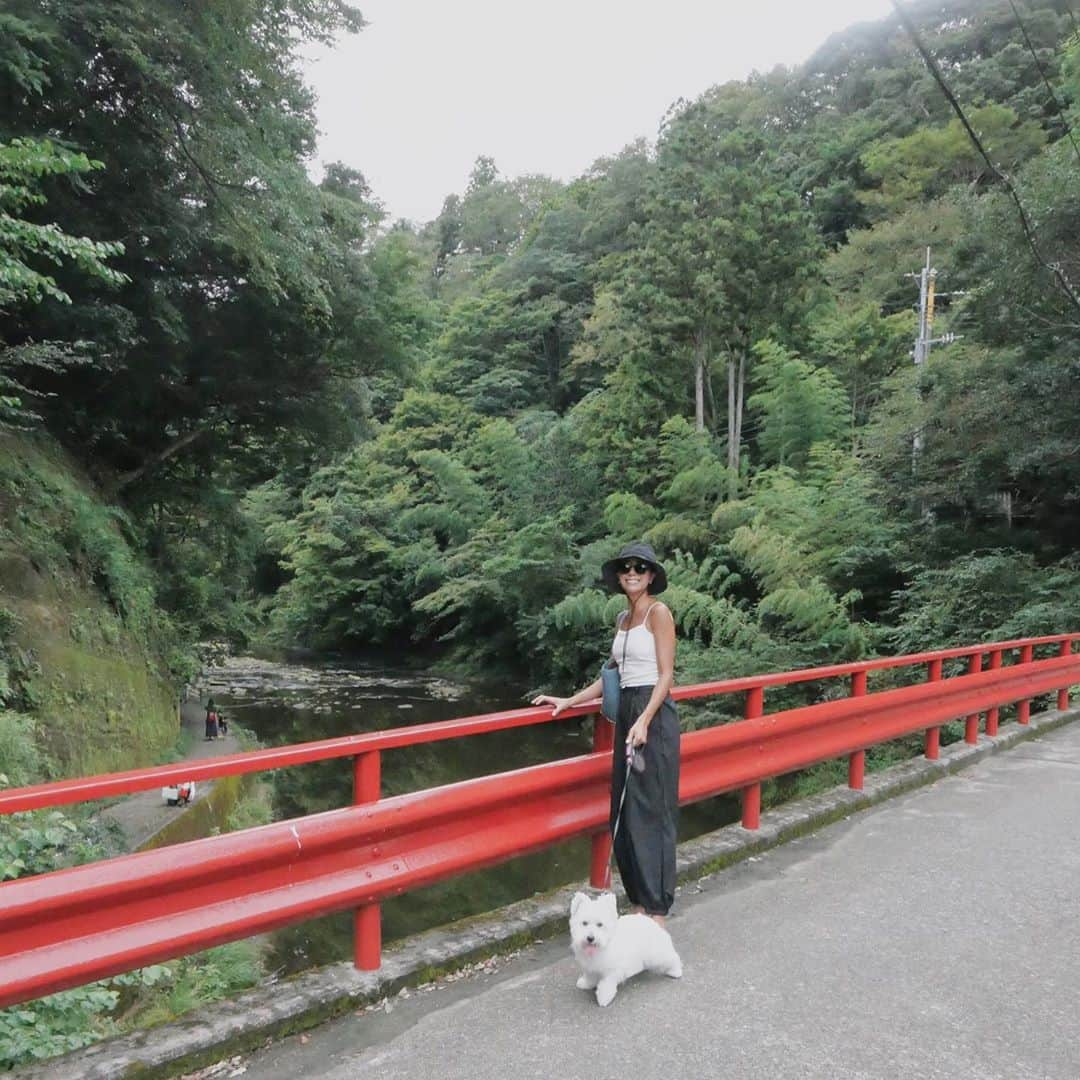 中川珠里さんのインスタグラム写真 - (中川珠里Instagram)「.﻿ 🌿🌿﻿ 深呼吸たくさんして﻿ マイナスイオンチャージ。﻿ ﻿ 山もいいね✨﻿ 蚊がいなければわたし大丈夫だ。笑﻿ ﻿ 嗚呼、もうリーちゃんが恋しい🥀﻿ ﻿」9月19日 8時40分 - juri1104