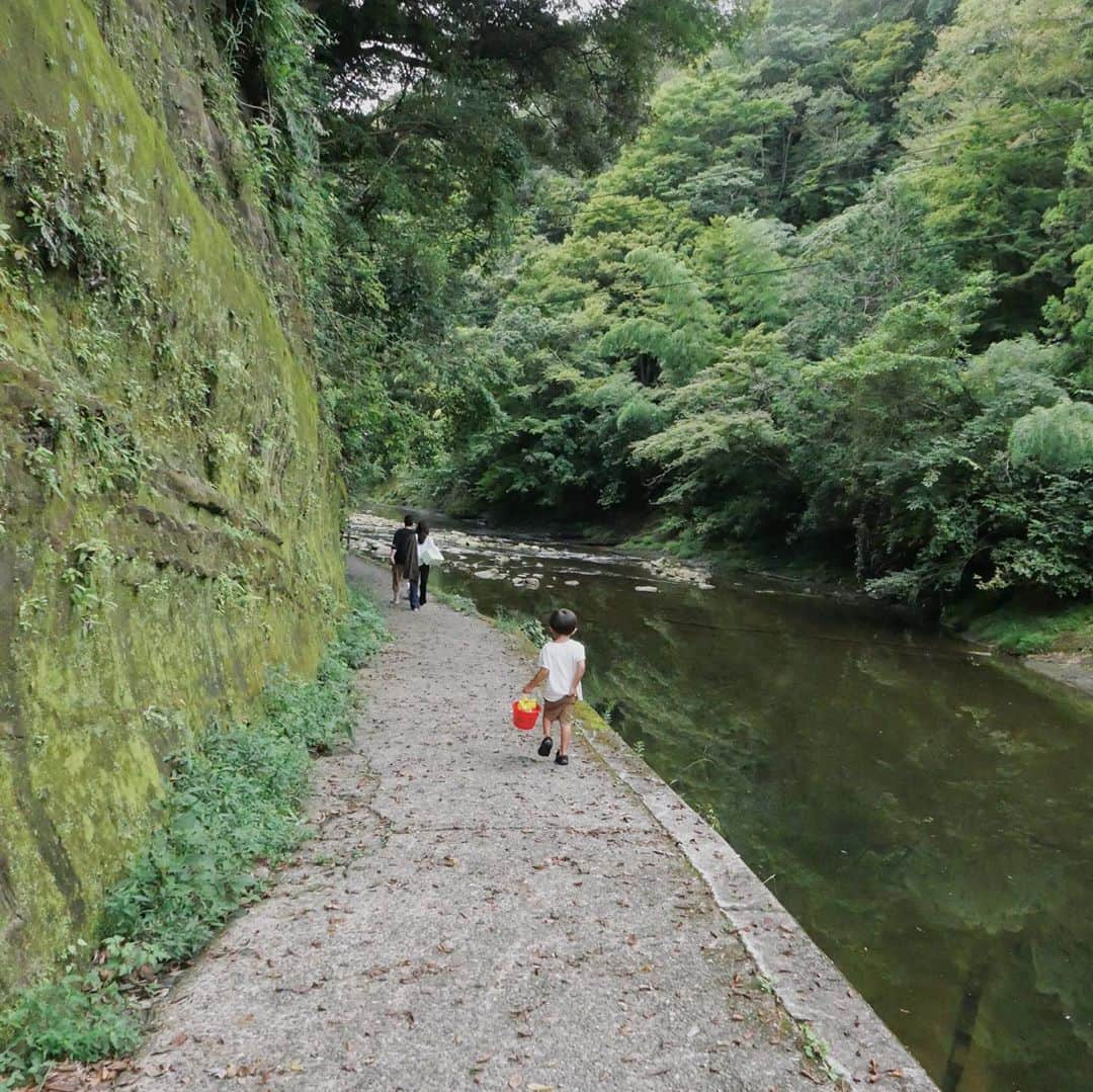 中川珠里さんのインスタグラム写真 - (中川珠里Instagram)「.﻿ 🌿🌿﻿ 深呼吸たくさんして﻿ マイナスイオンチャージ。﻿ ﻿ 山もいいね✨﻿ 蚊がいなければわたし大丈夫だ。笑﻿ ﻿ 嗚呼、もうリーちゃんが恋しい🥀﻿ ﻿」9月19日 8時40分 - juri1104