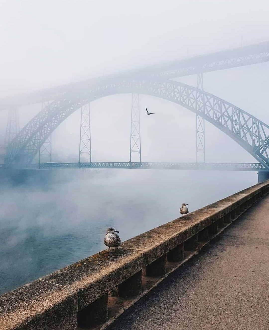 Instagramersさんのインスタグラム写真 - (InstagramersInstagram)「Mistic and fog in this photo by @tiago.garcia.martins and @igersportugal 😍📸🙌 #igersportugal #igers」9月19日 3時46分 - igers
