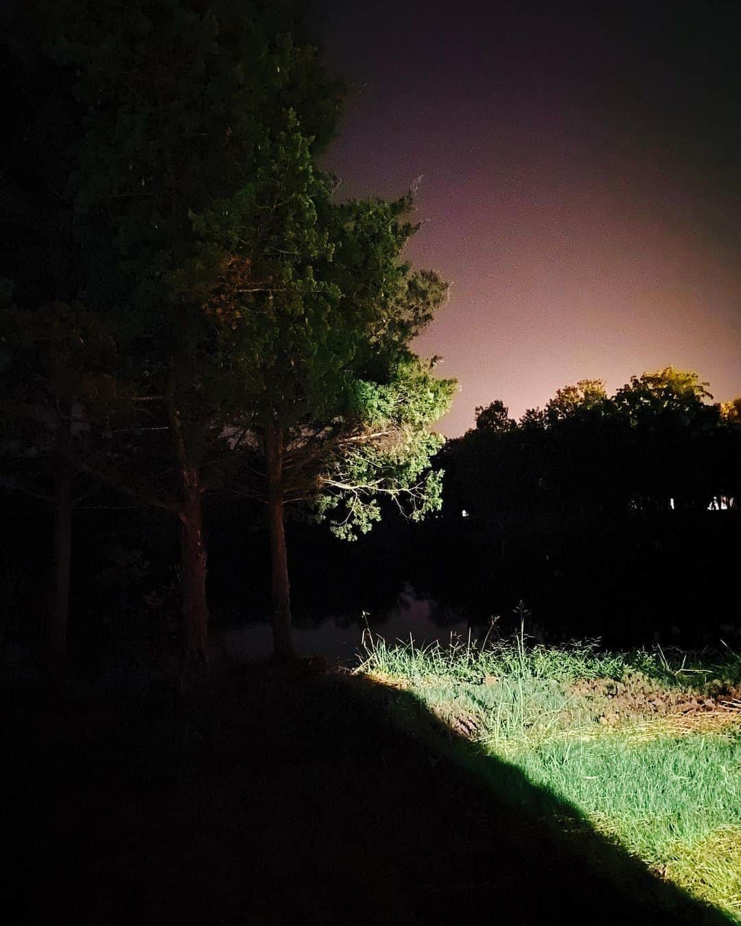 Robert Bingamanのインスタグラム：「Flare up like a flame and make big shadows I can move in.」