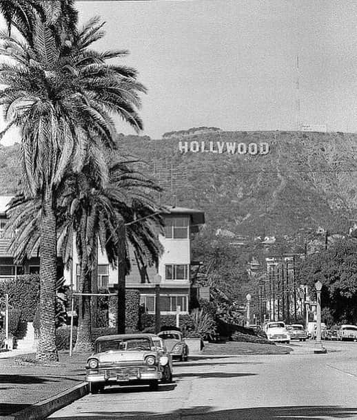 Fred Segalさんのインスタグラム写真 - (Fred SegalInstagram)「Take it easy this weekend. You deserve it 💫⁠⠀ ⁠⠀ #vintage #hollywood #vintagehollywood #hollywoodsign #weekend #losangeles #vintagelosangeles #fredsegal」9月19日 5時33分 - fredsegal