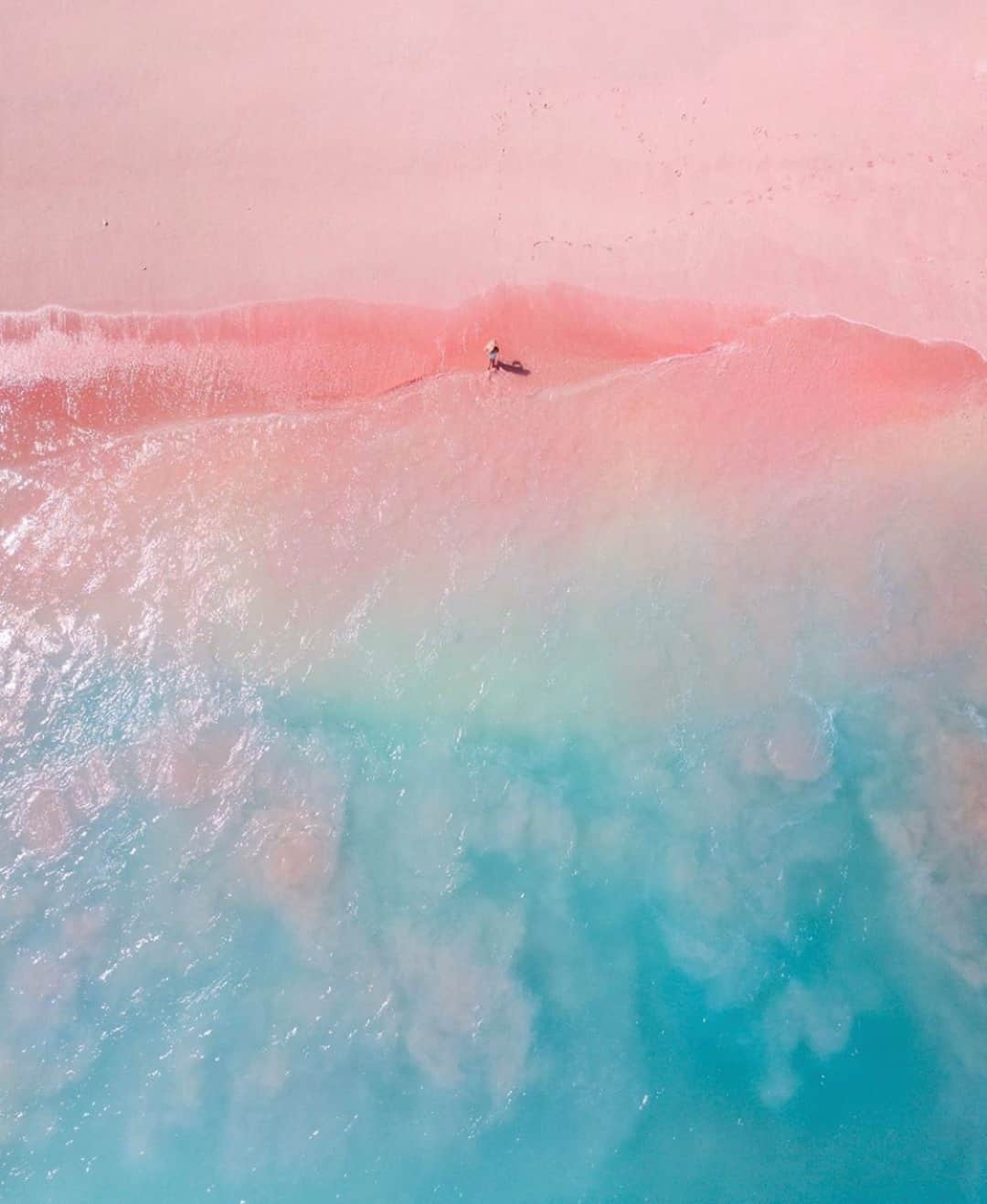 Earth Picsさんのインスタグラム写真 - (Earth PicsInstagram)「Pink Beach in Indonesia ✨ Tag someone you would like to visit here with! 📸 @helen_jannesonbense」9月19日 6時00分 - earthpix