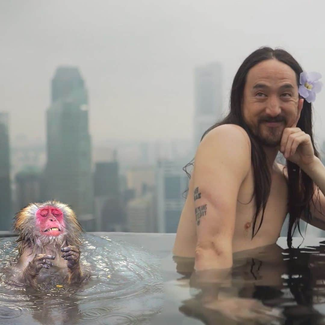 スティーヴ・アオキさんのインスタグラム写真 - (スティーヴ・アオキInstagram)「Caption this. I'll pin my favs 🐒🛀」9月19日 6時16分 - steveaoki